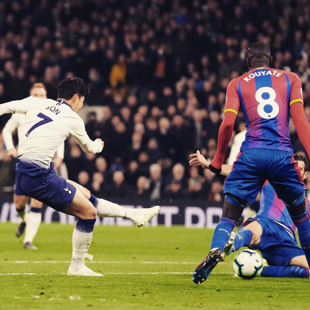 了多样的进 了多样的进